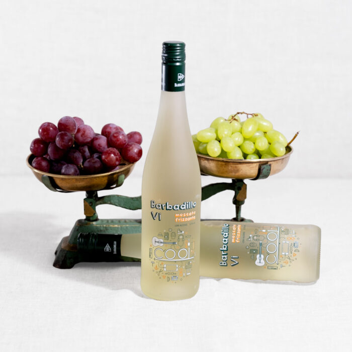 Vino Barbadillo VI Cool – Frizzante 100% Moscato